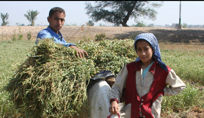 Soon … Farmers to sell commodities at bourse