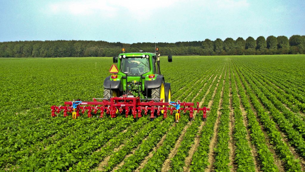 Ten Chinese investors to explore importing agricultural products from Egypt