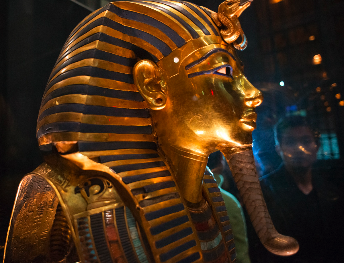 Sixth chariot of King Tutankhamun moved to the new museum