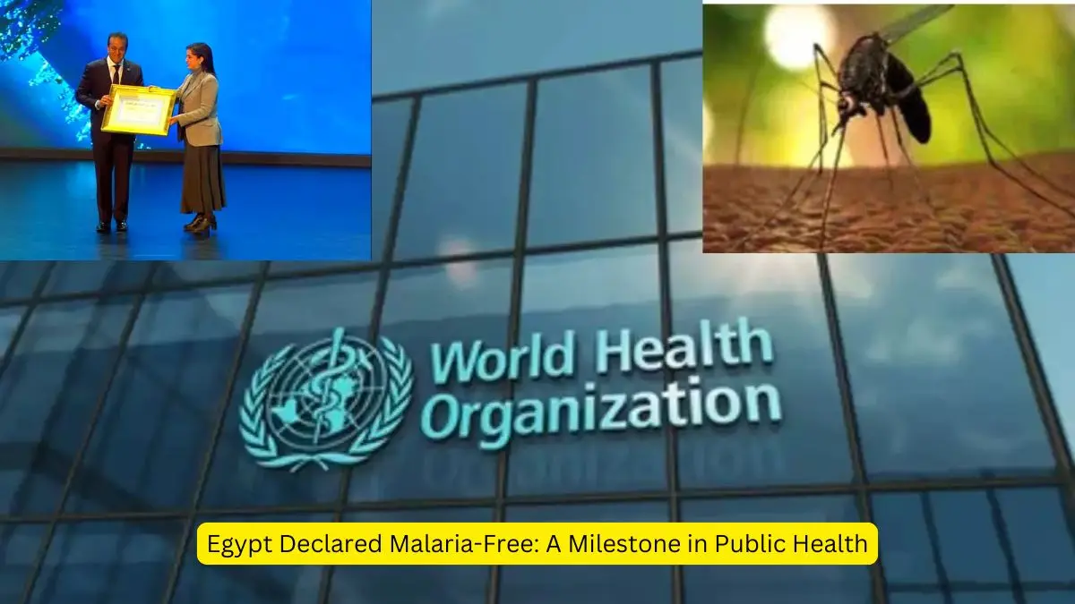 Egypt Achieves Malaria-Free Status