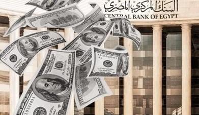 Egypt’s Central Bank’s Foreign Assets Climb Amidst Economic Resilience