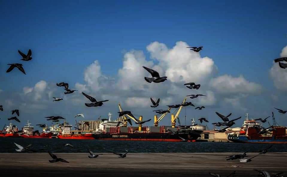Egypt Launches Pioneering Ship Scrapping Project: A Regional First in Sustainable Steel Production