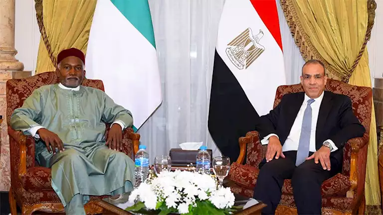 Nigeria and Egypt Forge Comprehensive Partnership to Tackle Regional Challenges
