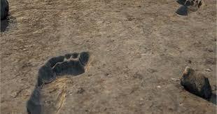 Ancient Footprints Unearthed in Saudi Arabia Reveal a 115,000-Year-Old Human Journey