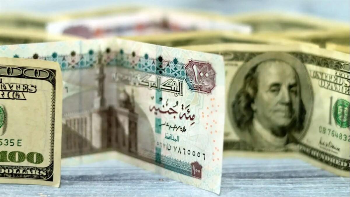 From Dollars to EGP, What’s in It for Egypt’s Digital Dynamos?