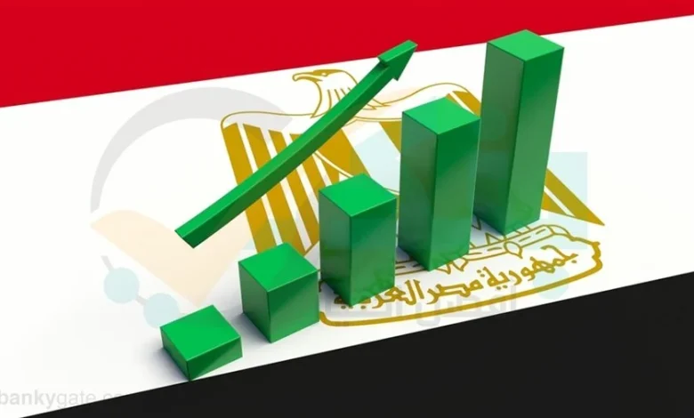 Egypt Unveils Sweeping Tax Reforms Aimed at Boosting Economic Growth