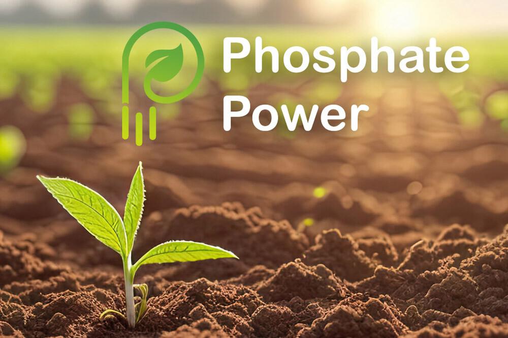 Phosphate Power: Egypt’s Global Ranking Boosts Its Fertilizer Market Influence