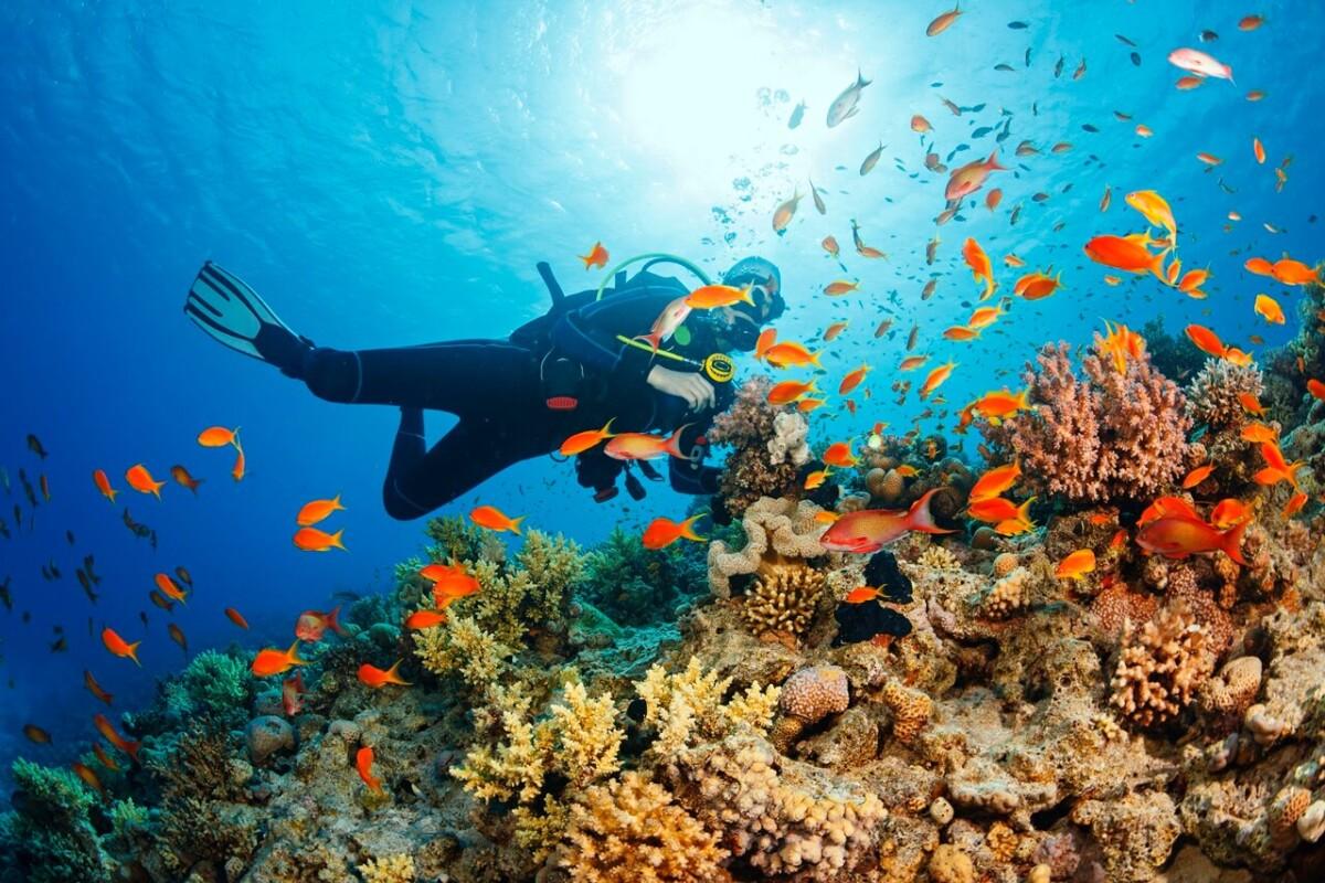 Sharm El-Sheikh Ranks 10th Among November Getaway Hotspots
