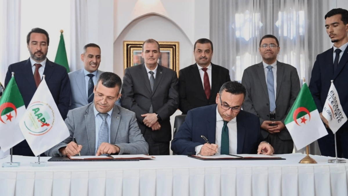 Elsewedy Electric Commits $2.5 Billion to Algeria’s Industrial Drive