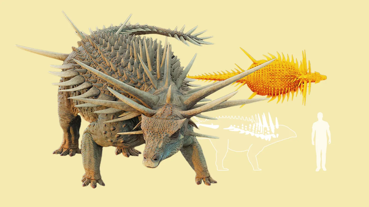 Morocco Unearths Strangest Dinosaur Yet—Spiked, Armored, and Weaponized