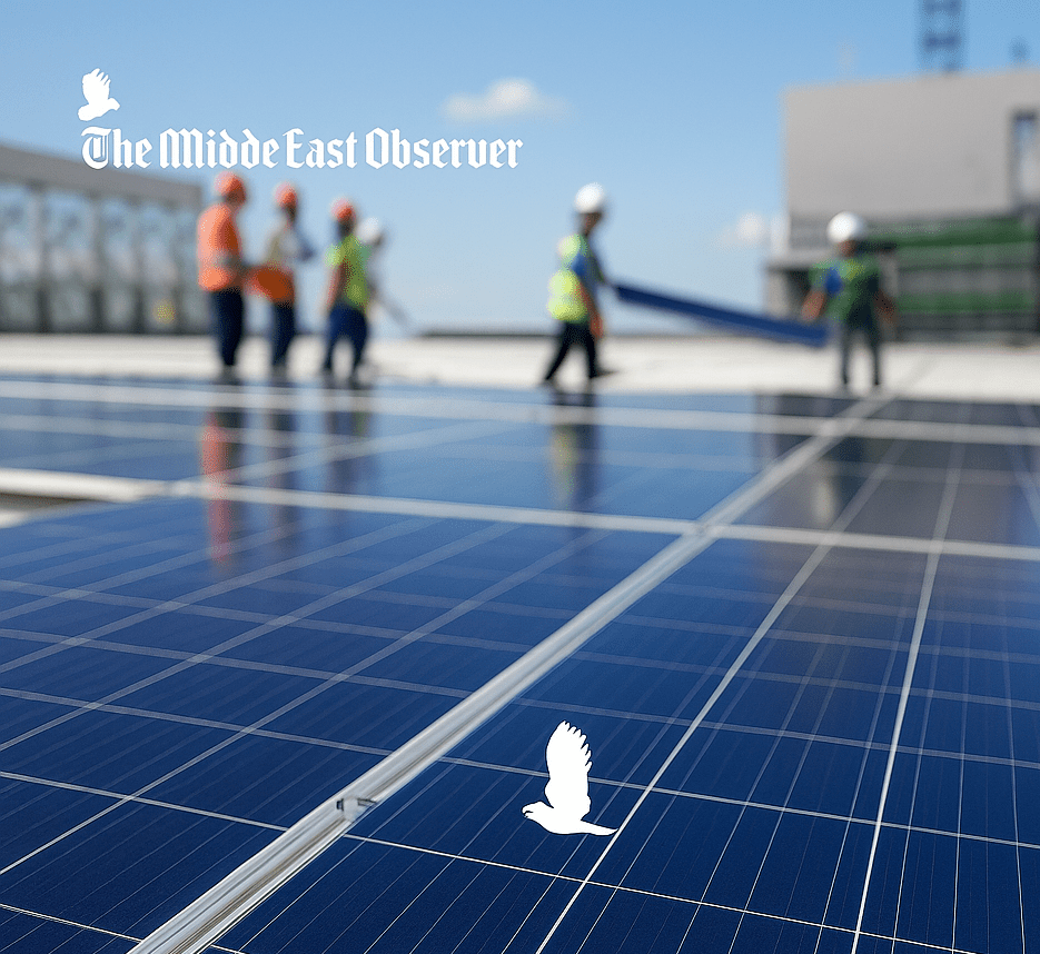 Egypt’s Elsewedy Electric Partners with E-Point Zero on 300 MW Solar Venture in Zambia