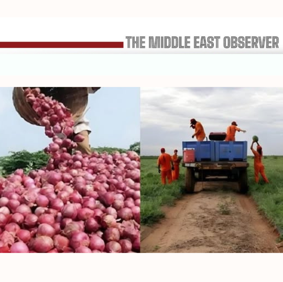 Burkina Faso’s prison farms, cultivating responsible citizens