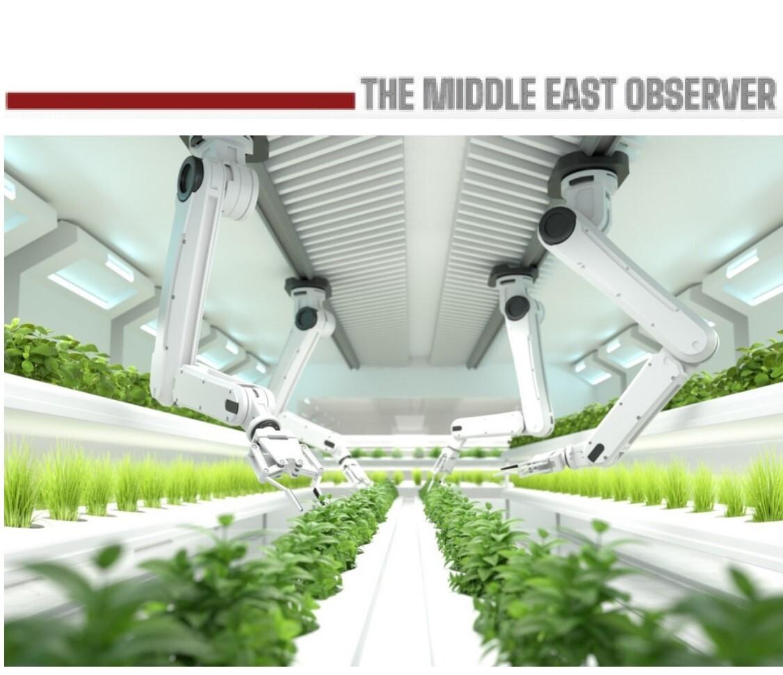 China Unveils First Fully Autonomous Plant Hybridisation Robot