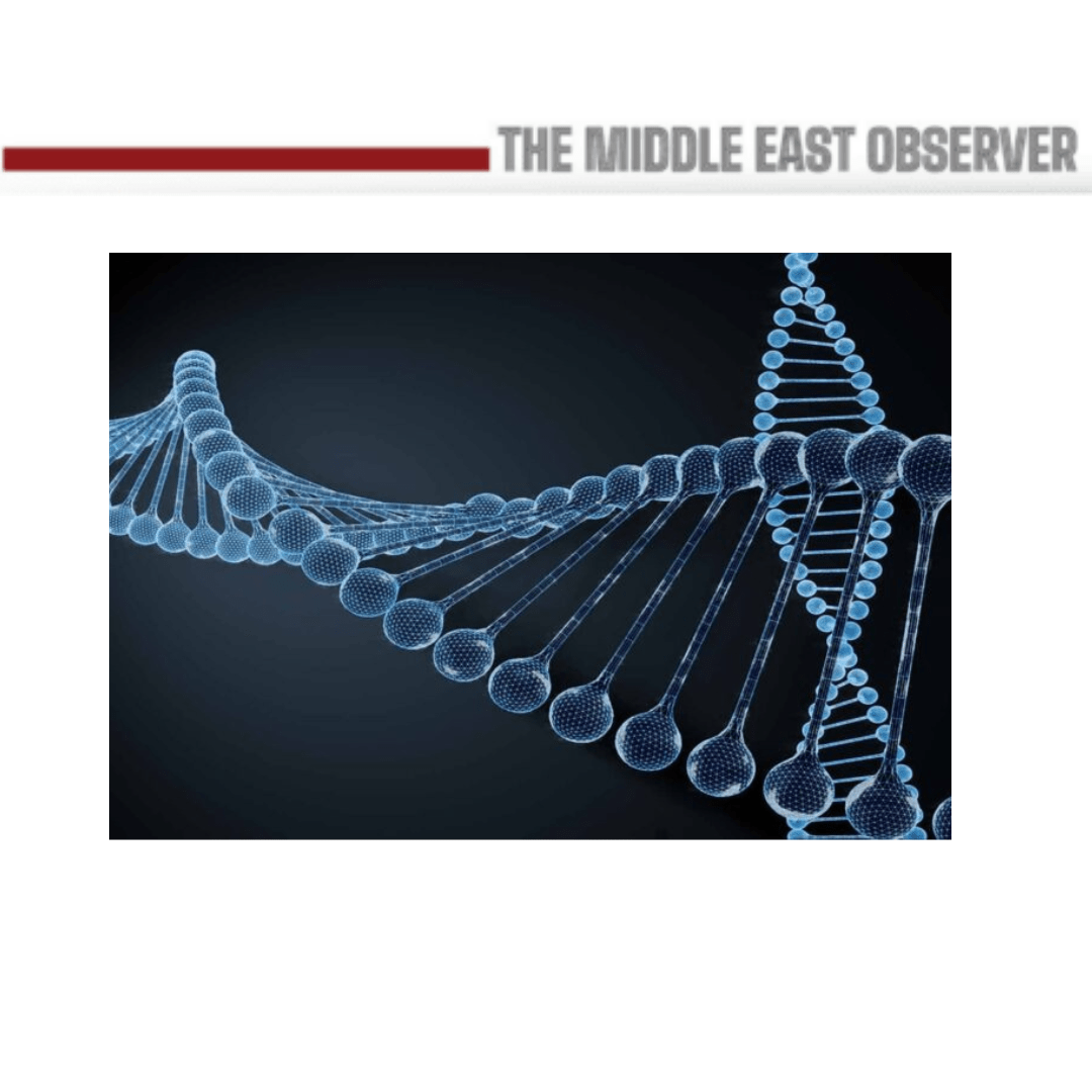 Egypt Genome Project Uncovers Millions of New Genetic Variants