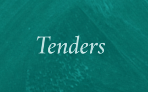 Tender No. 1184- Akhbar Elyoum Organization
