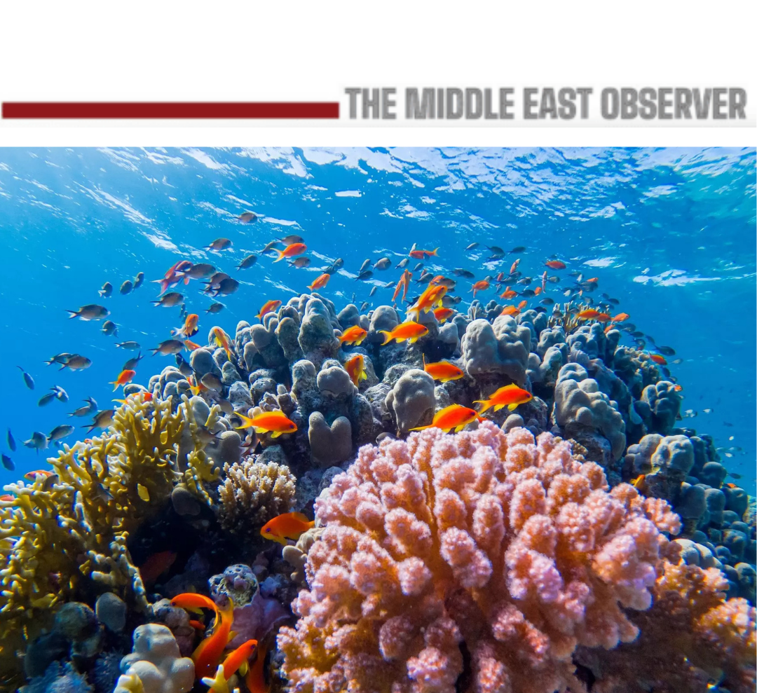 Egypt’s Sharm El Luli Named Among World’s Leading Beaches for 2026