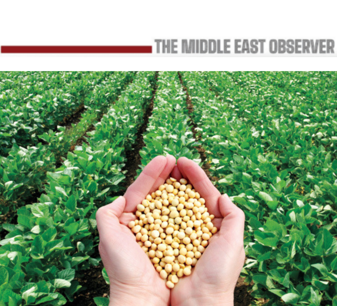 The New Soybean Race: Enzymes, Trade Wars, and What Egypt Should Watch