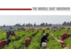 The Egypt Opportunity: Why Health, Food and Agriculture Could Turn a Massive Market into a Regional Production Hub Economy