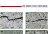 Can Self-Healing Concrete Cut the Middle East’s Infrastructure Bill? Industry