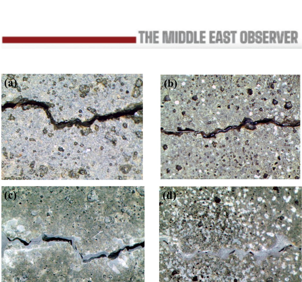 Can Self-Healing Concrete Cut the Middle East's Infrastructure Bill?