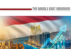 Private Investment Takes the Lead in Egypt’s Economic Shift Economy